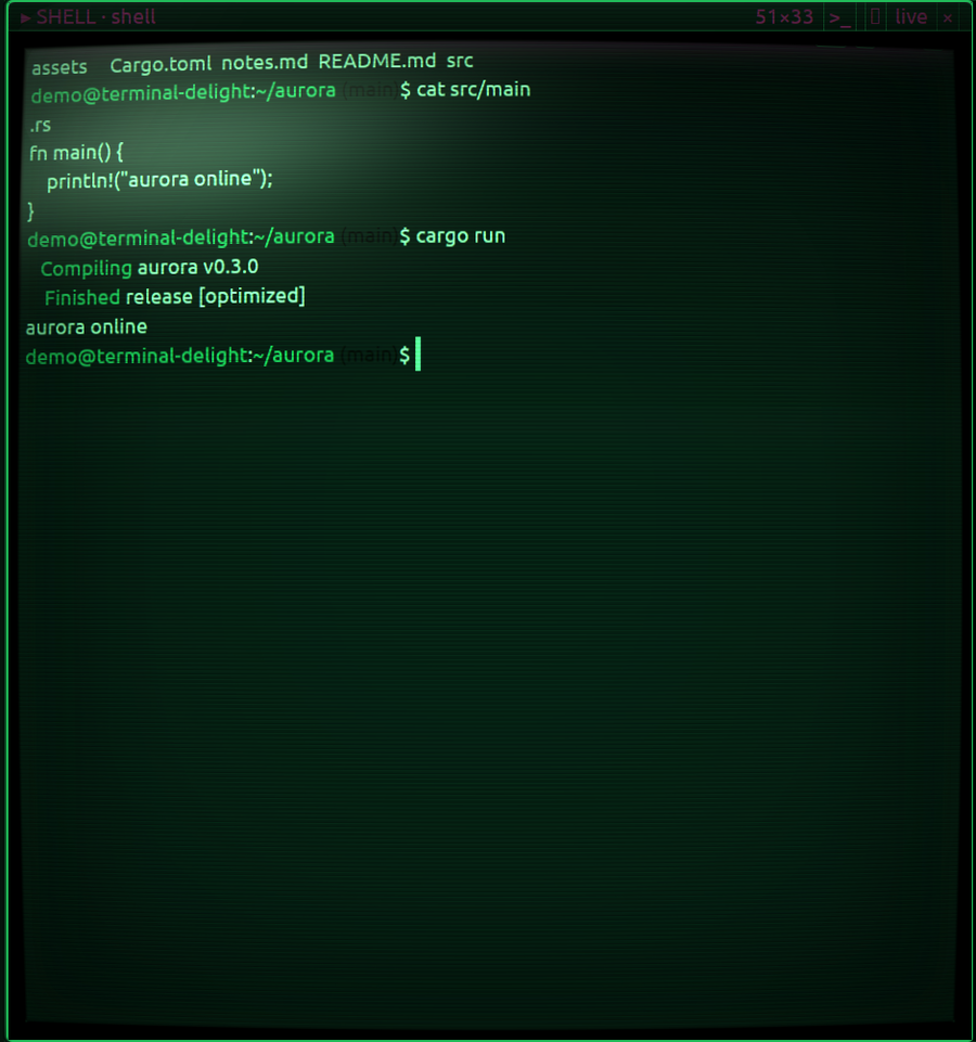 hacker theme at large text size